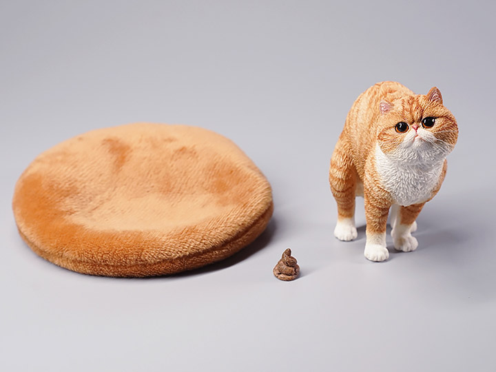 JXK073ABCD Half squatting ExoticShorthair 1/6