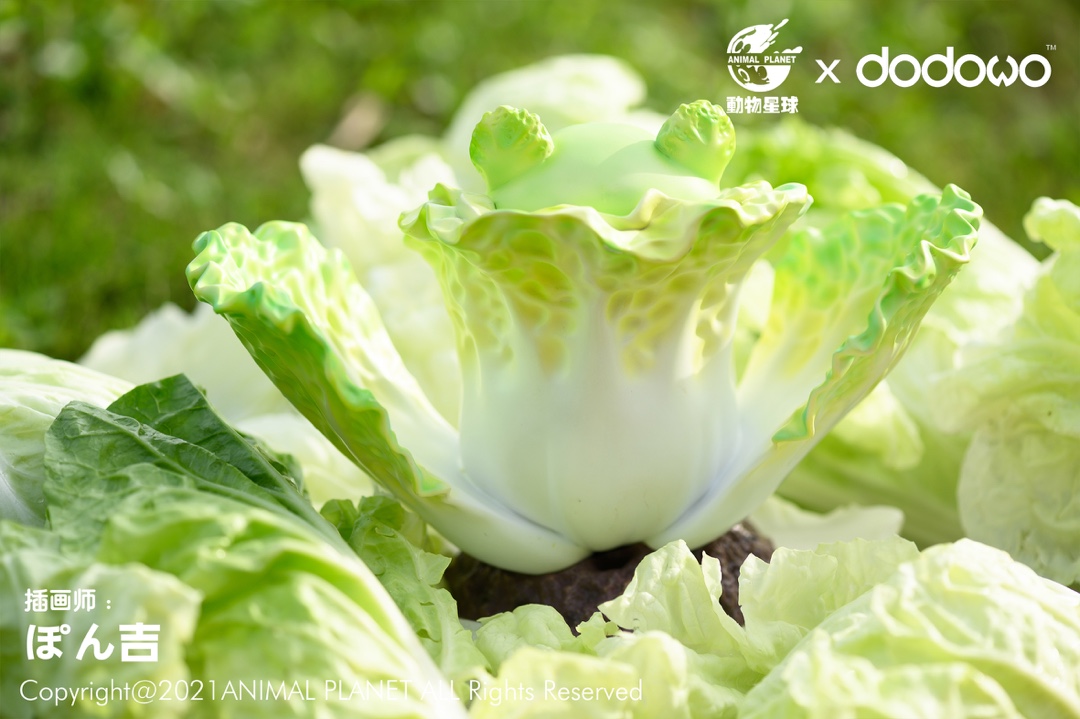 Cabbage Dog [Ver 2]