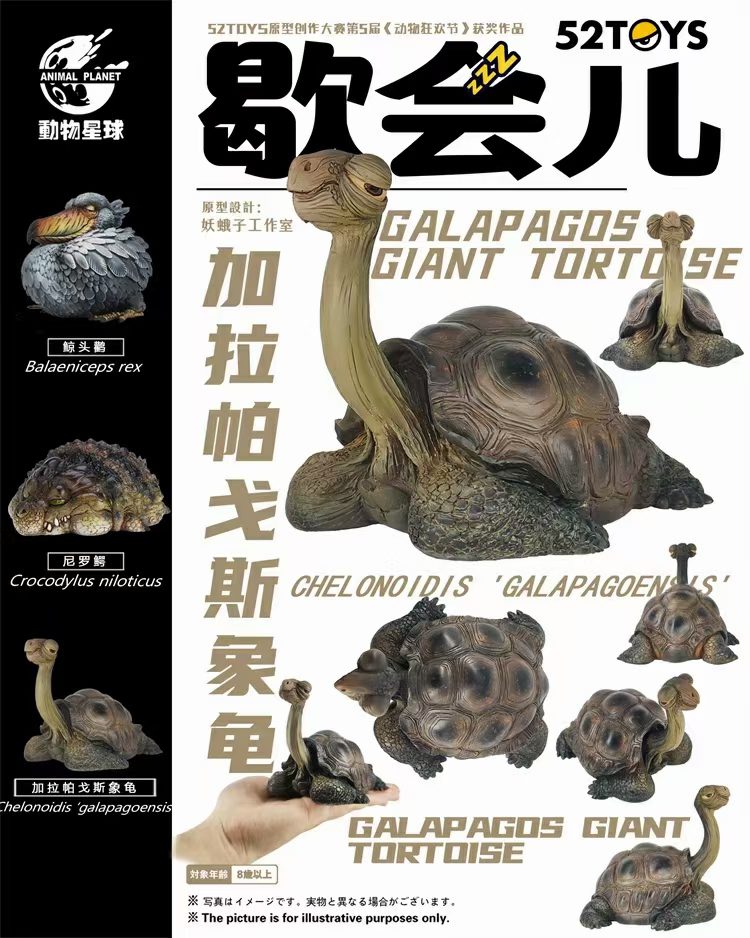 Galapagos Giant Tortoise