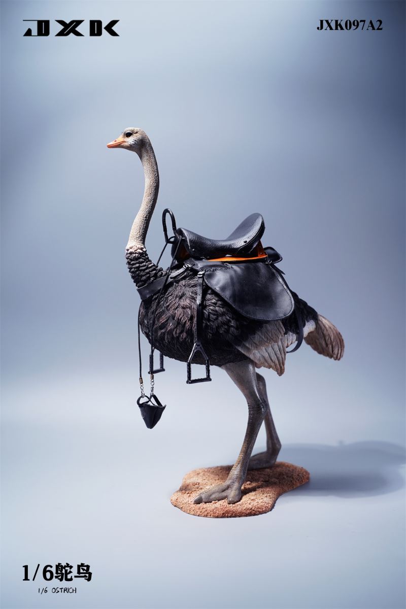 Ostrich JXK097 1/6