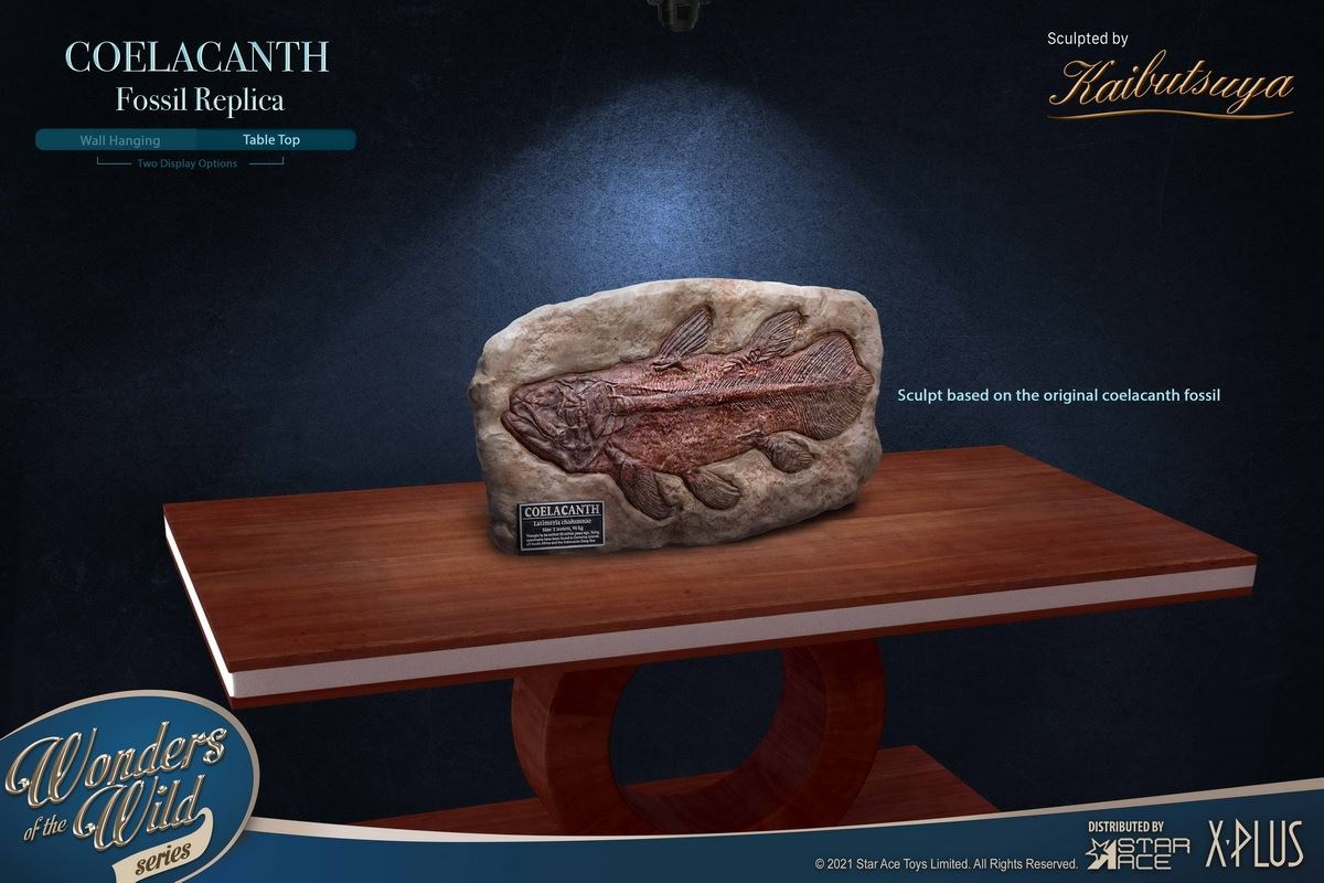 Coelacanth & Fossil