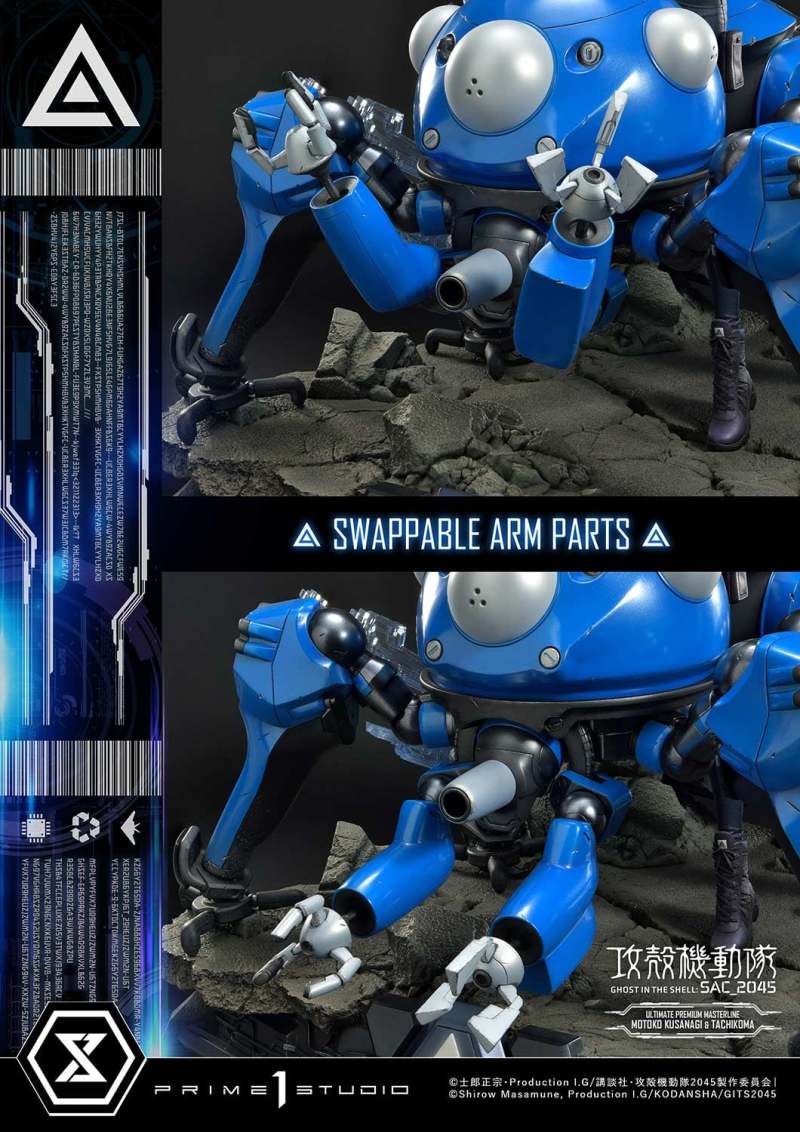 Ghost in the Shell: SAC_2045 Motoko Kusanagi & Tachikoma