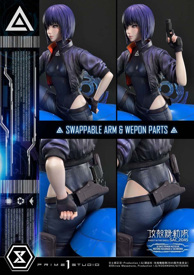 Ghost in the Shell: SAC_2045 Motoko Kusanagi & Tachikoma