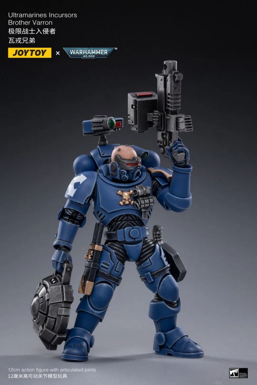 ULTRAMARINES INCURSORS & INFILTRATORS