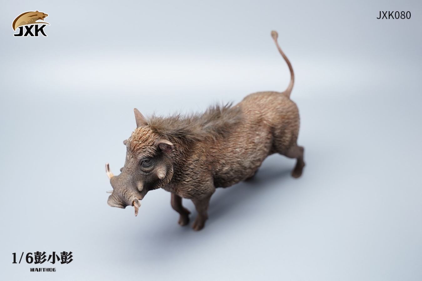 Lion King 1/6