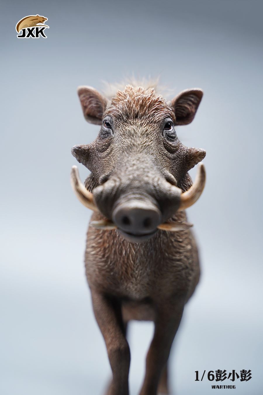 Lion King 1/6