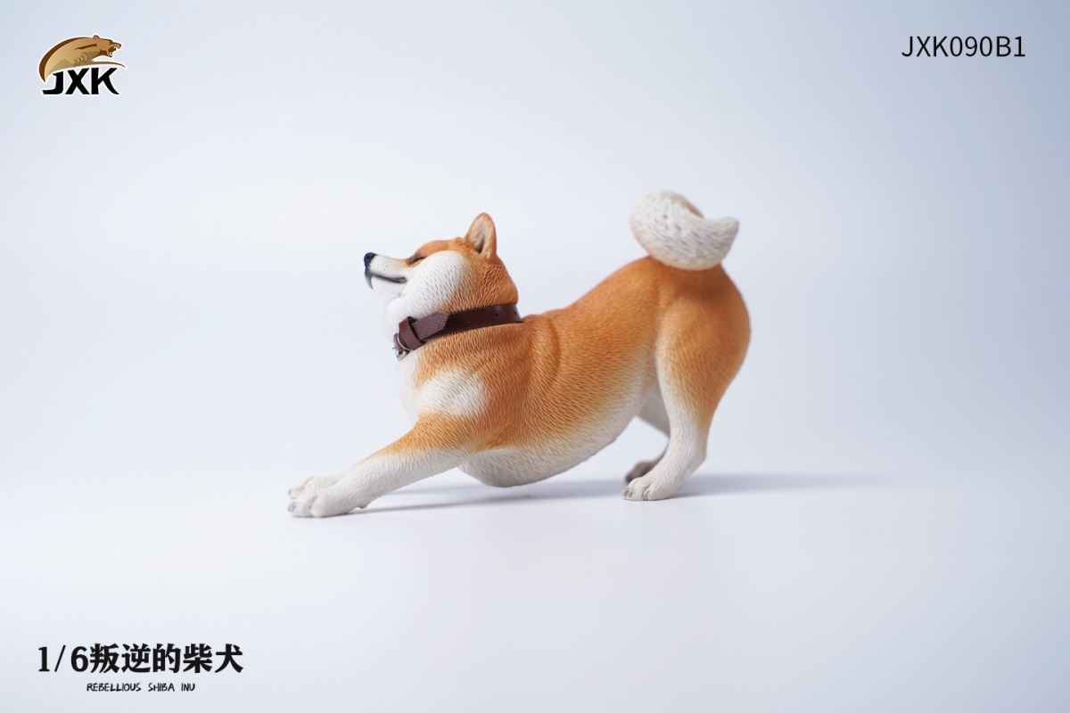 Rebellious Shiba Inu 1/6
