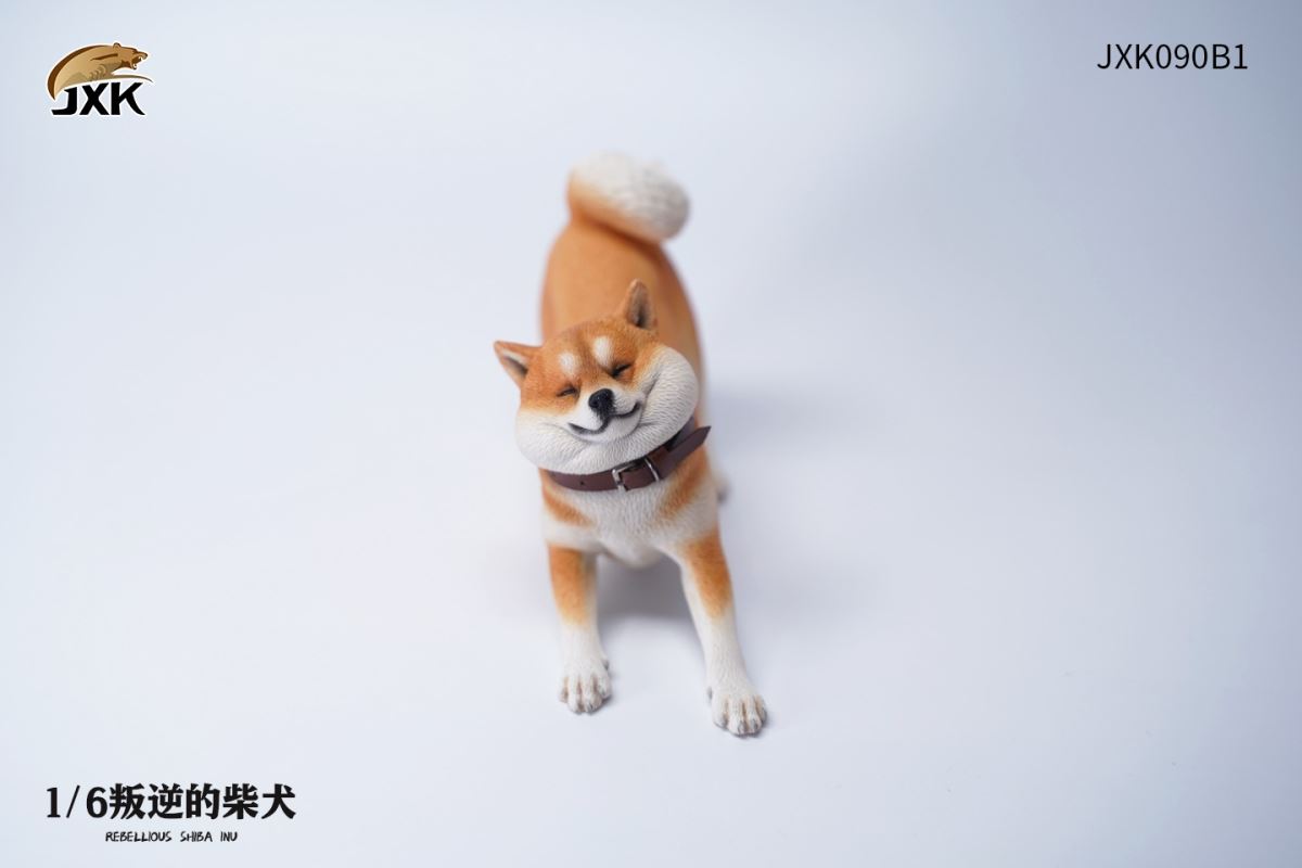 Rebellious Shiba Inu 1/6