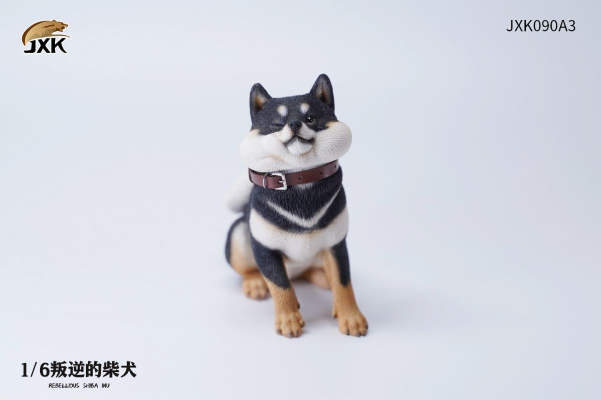 Rebellious Shiba Inu 1/6