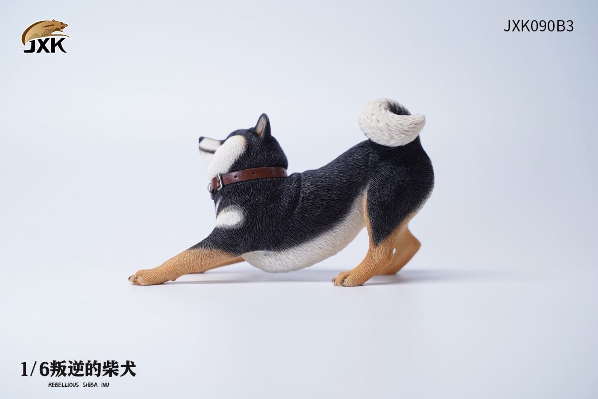 Rebellious Shiba Inu 1/6