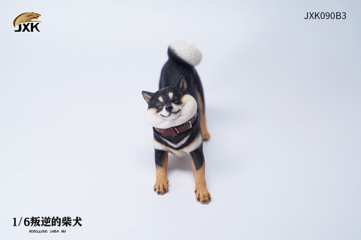 Rebellious Shiba Inu 1/6