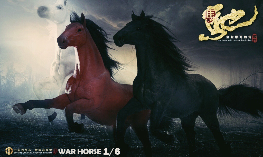 War Horse 1/6
