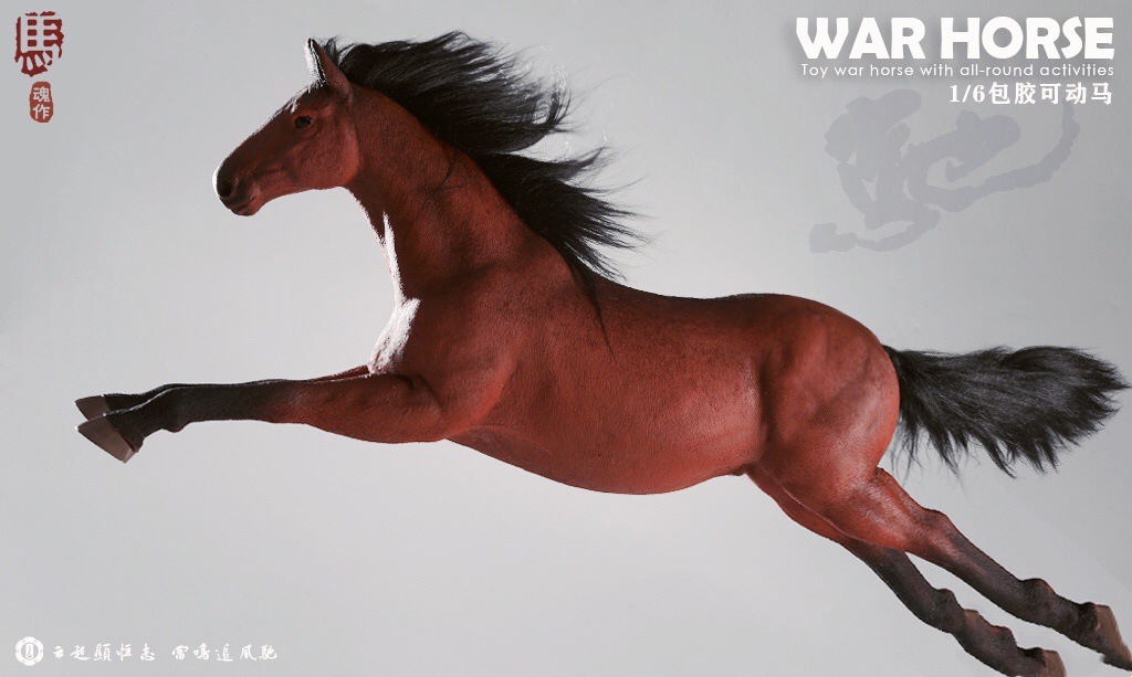 War Horse 1/6