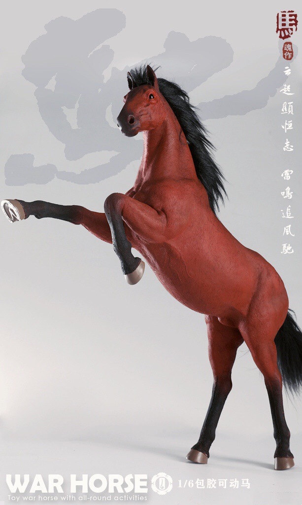 War Horse 1/6