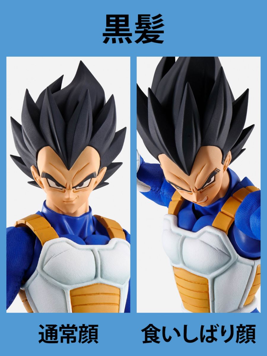 Dragon Ball Z - IMAGINATION WORKS Vegeta