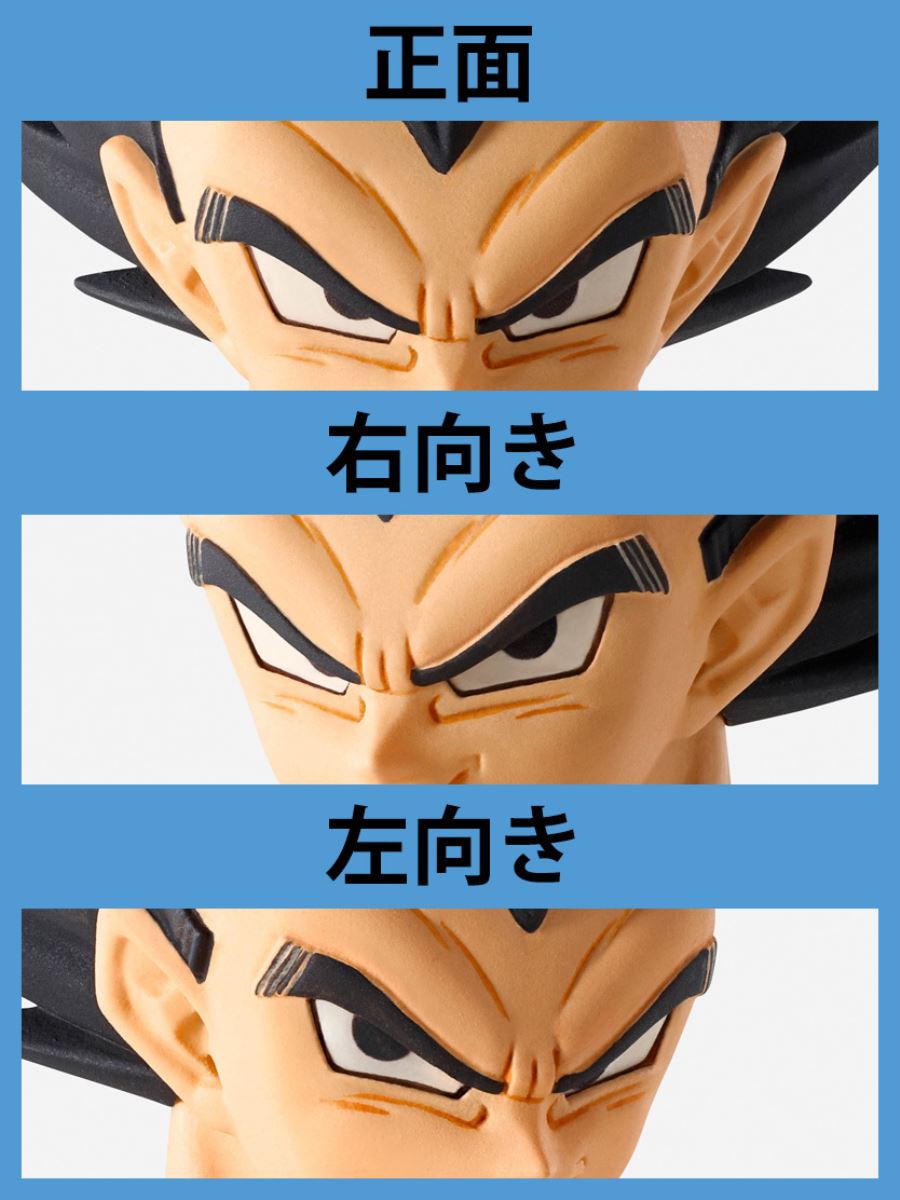 Dragon Ball Z - IMAGINATION WORKS Vegeta