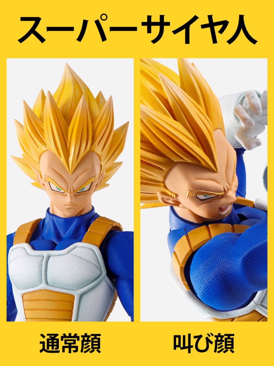 Dragon Ball Z - IMAGINATION WORKS Vegeta