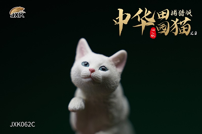 Chinese Garden Cat 2.0 (Hunting Edition) 1/6