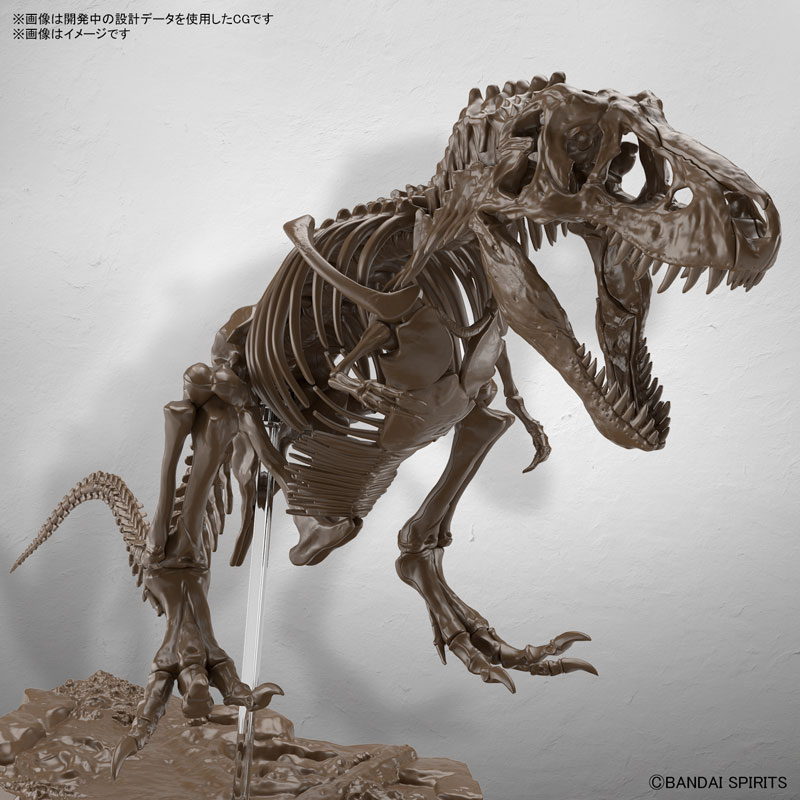1/32 Imaginary Skeleton Tyrannosaurus Plastic Model