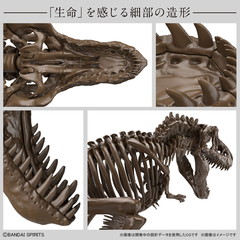 1/32 Imaginary Skeleton Tyrannosaurus Plastic Model