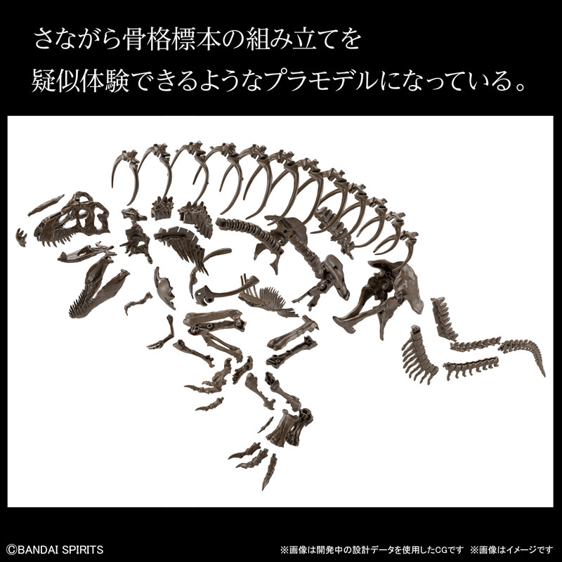 1/32 Imaginary Skeleton Tyrannosaurus Plastic Model