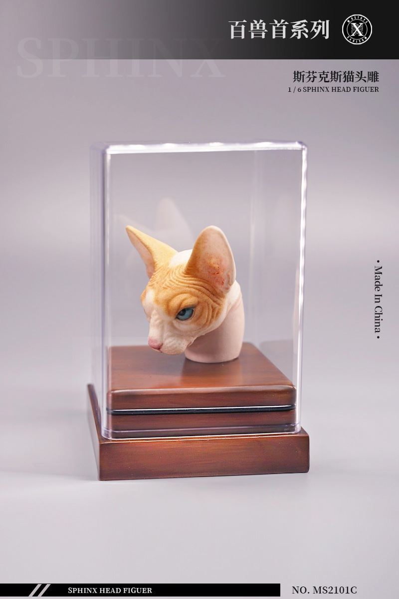 series of beasts - hairless cat animal head sculpture 1/6