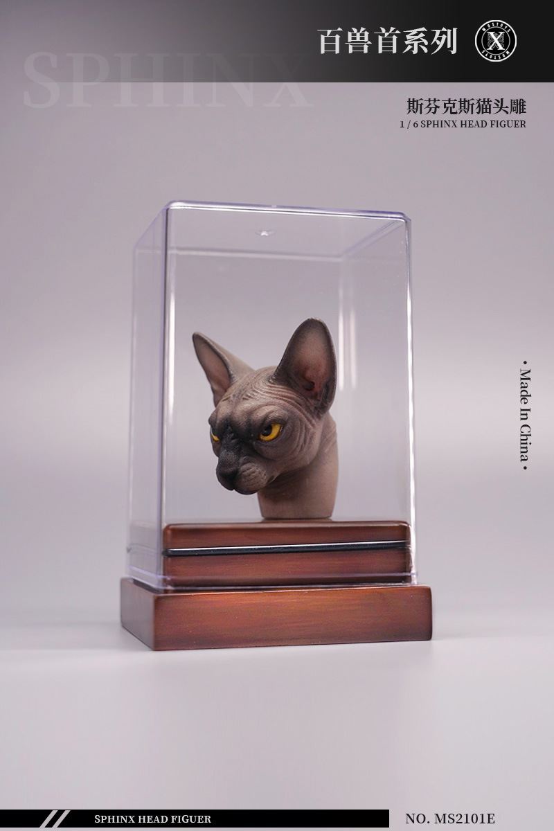 series of beasts - hairless cat animal head sculpture 1/6