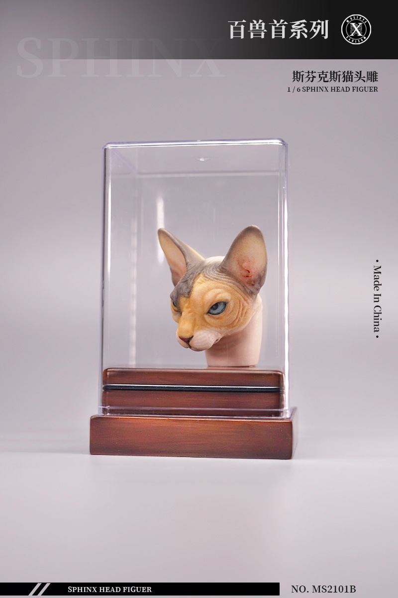 series of beasts - hairless cat animal head sculpture 1/6