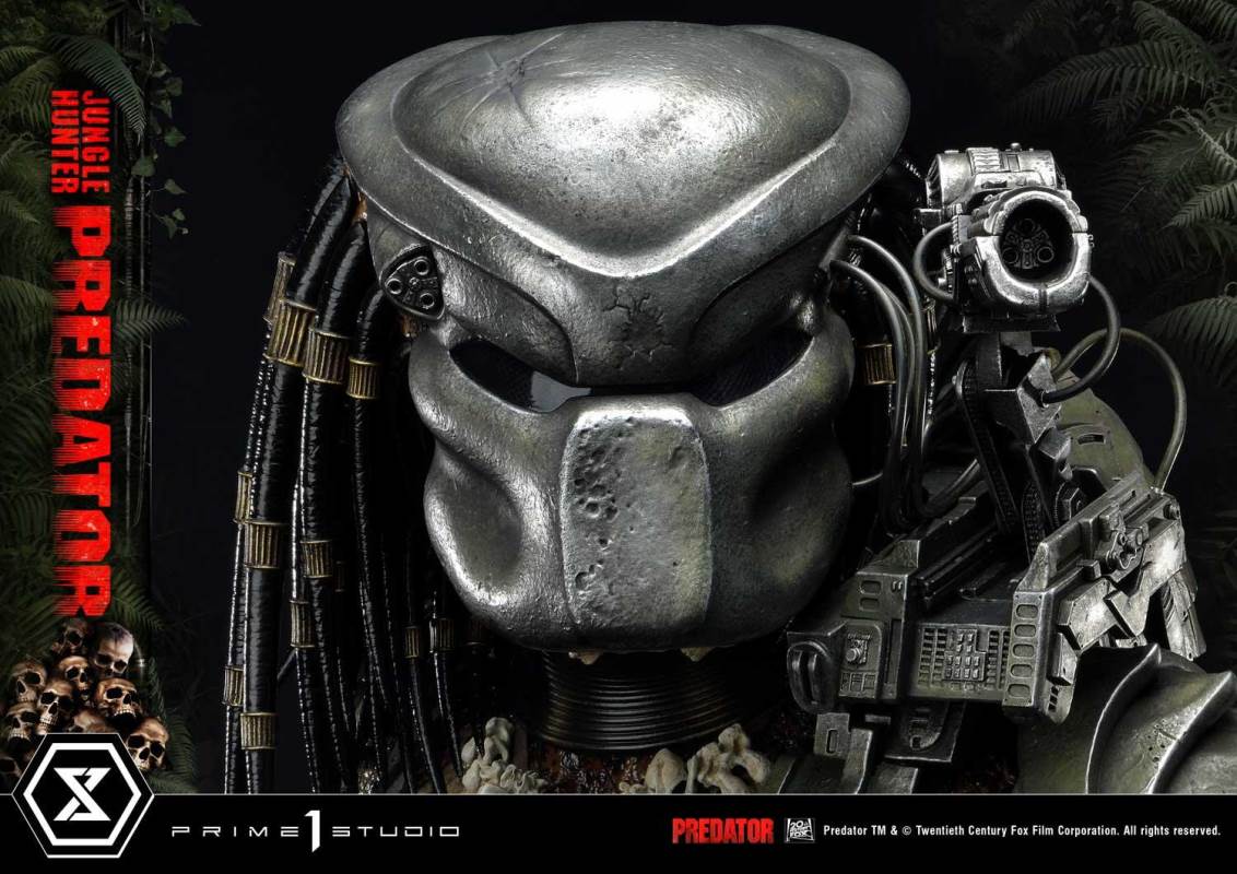 Jungle Hunter Predator