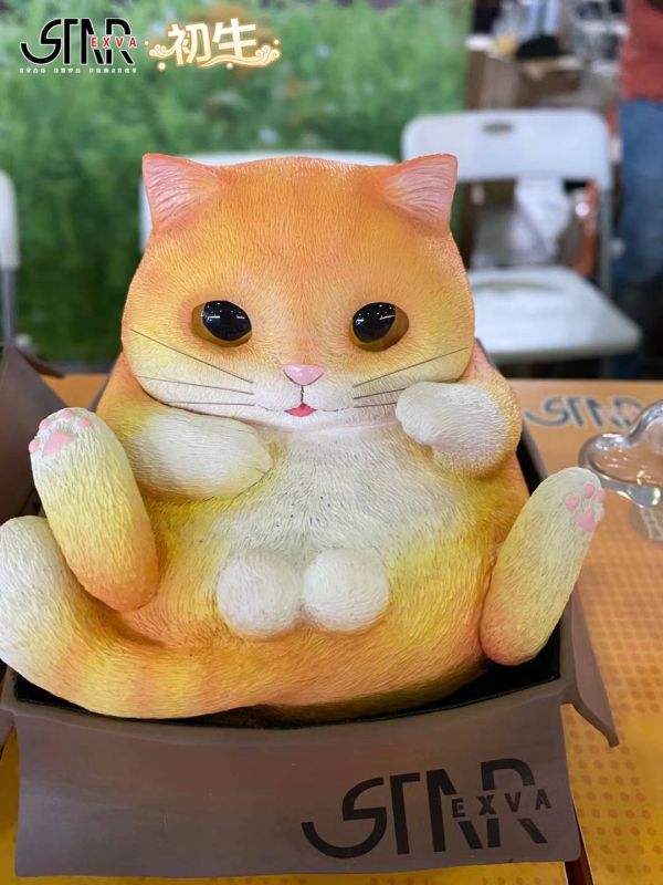 Fat Cat
