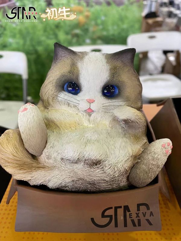 Fat Cat