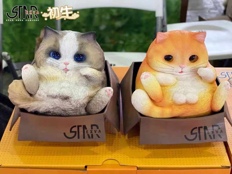 Fat Cat