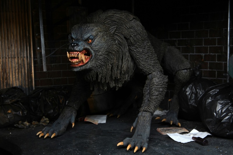 An American Werewolf – Ultimate Kessler Wolf