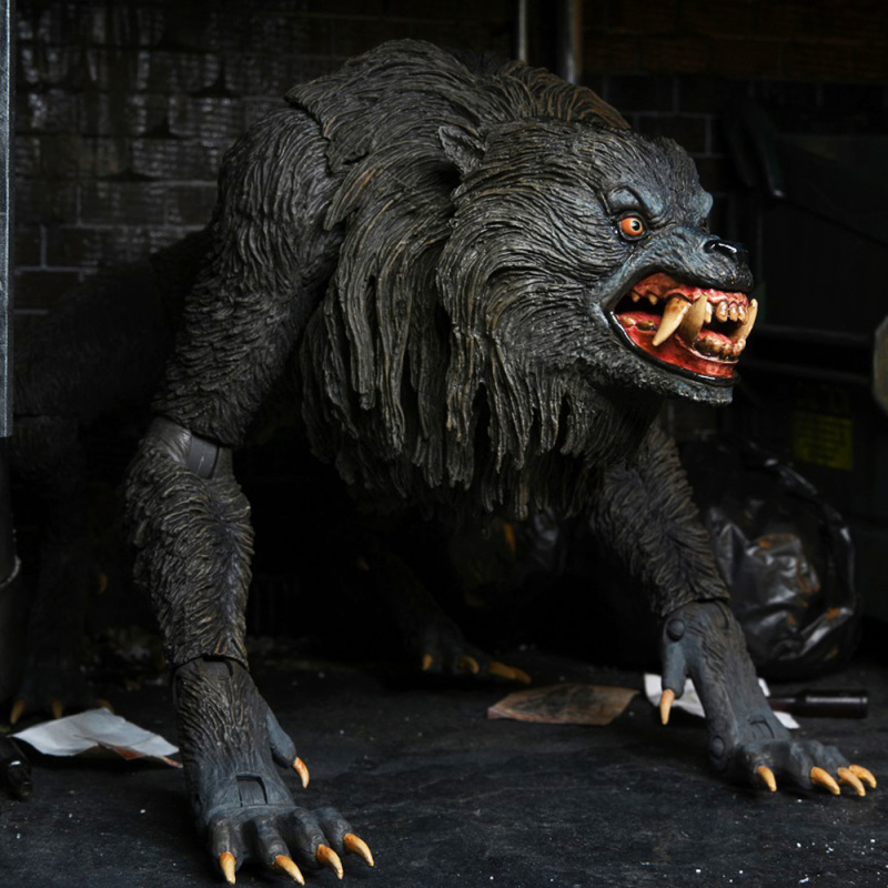 An American Werewolf – Ultimate Kessler Wolf