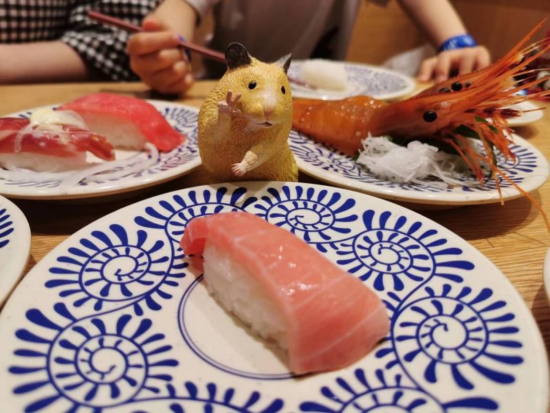 Hamster