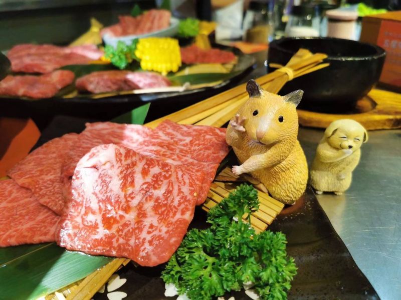 Hamster