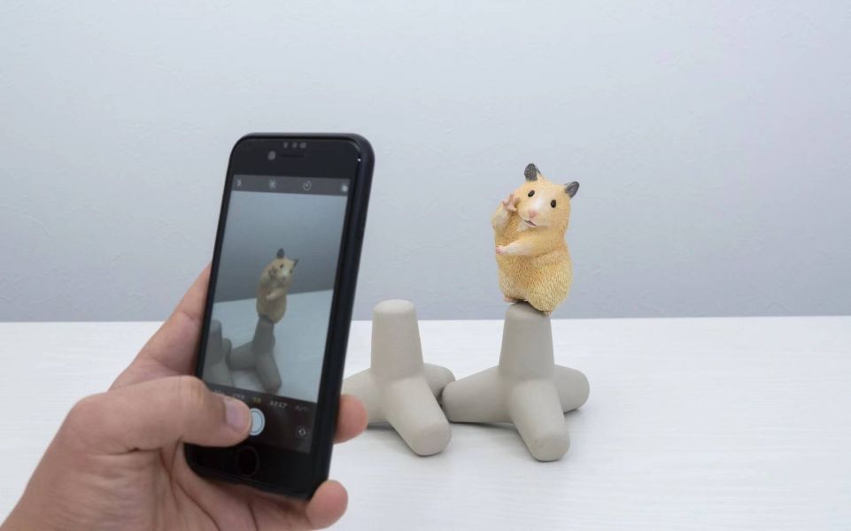 Hamster