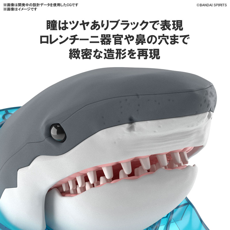 Exploring Lab Nature Great White Shark