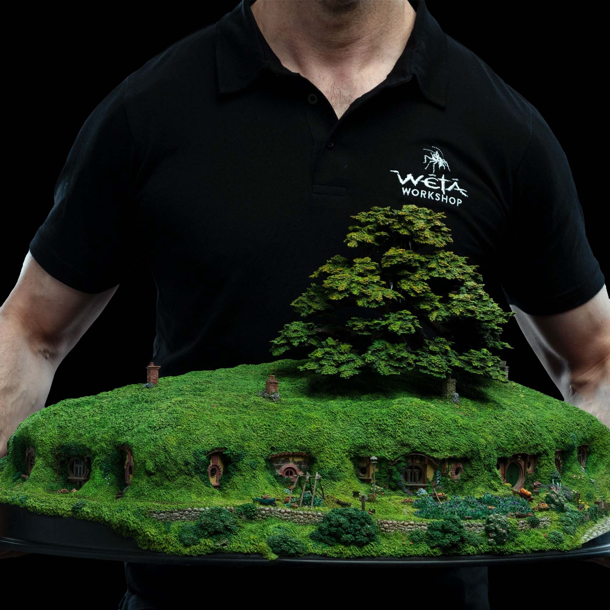 Bag End on the Hill (The Lord of the Rings : The Fellowship of the Ring)