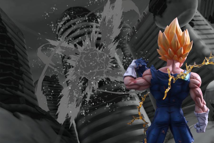 Margin Vegeta 1/4