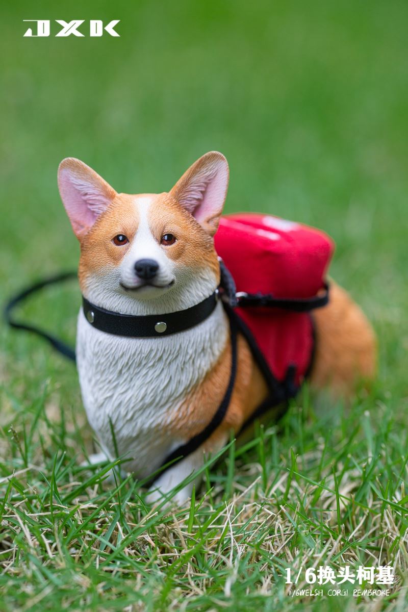 Welsh Corgi Pembroke 1/6