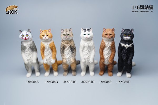 British Shorthair Cat (JXK084) 1/6
