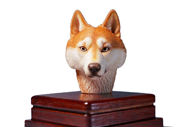 Head Husky A 1/6