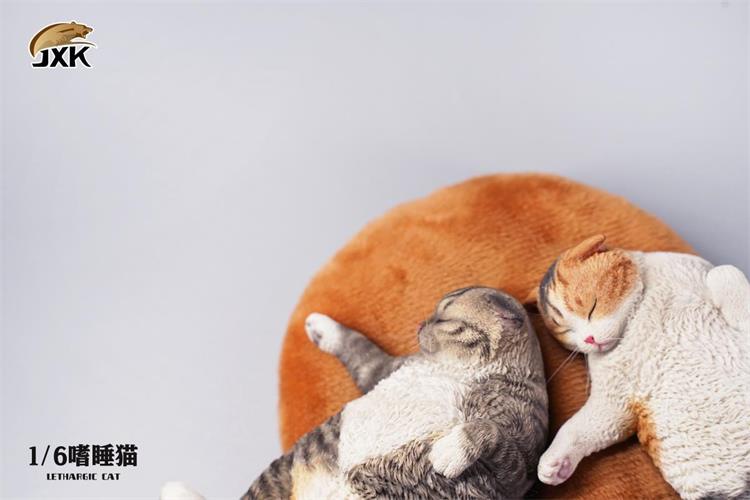 Sleepy Cat JXK070 1/6