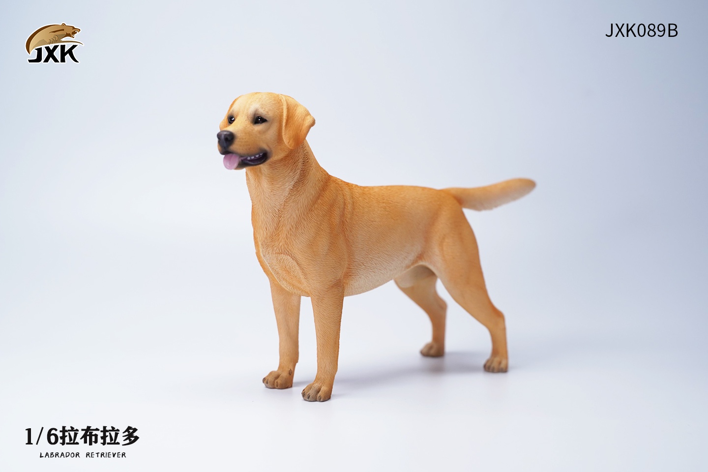 Labrador (JXK089) 1/6