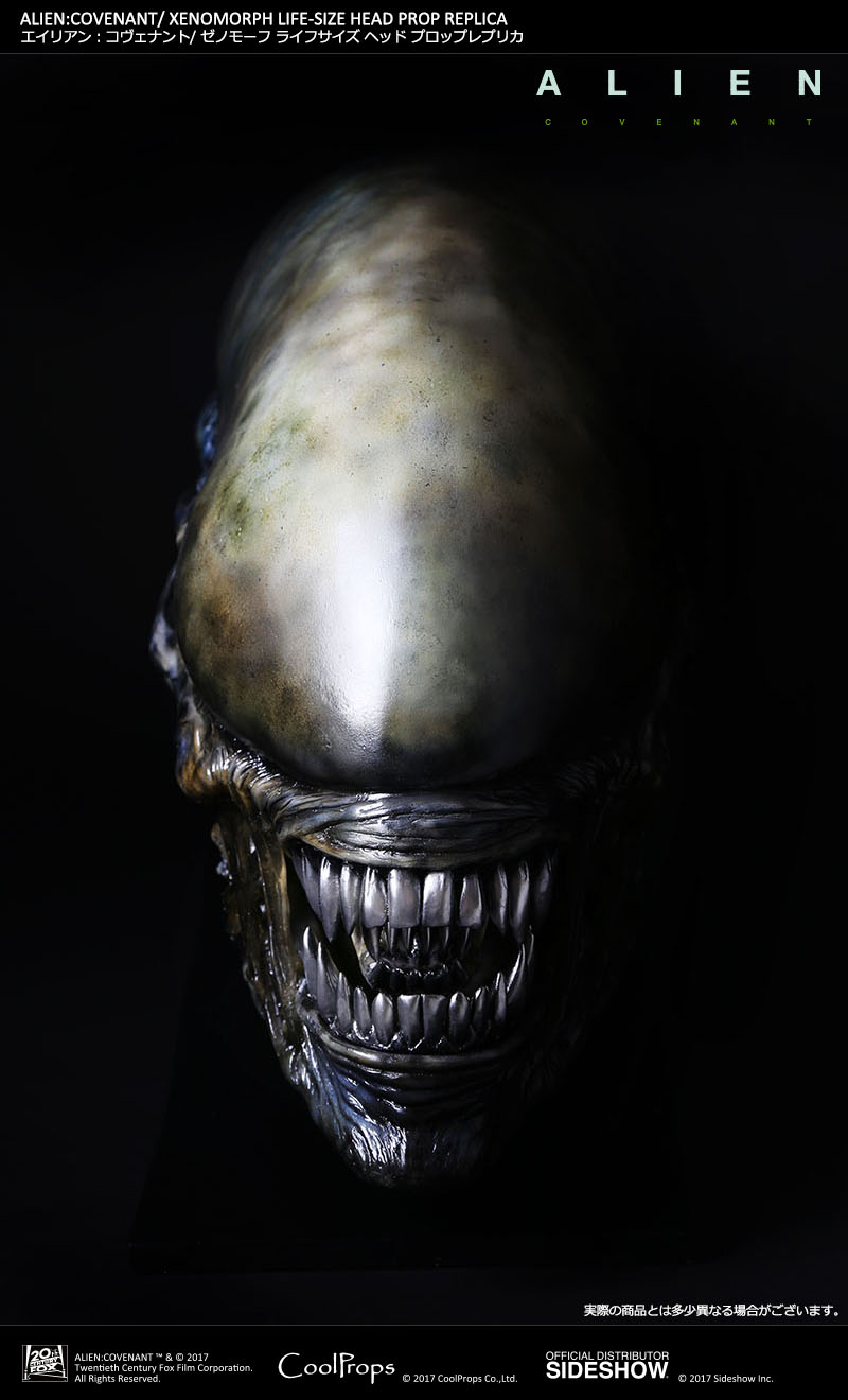 ALIEN: COVENANT / XENOMORPH LIFE-SIZE HEAD PROP REPLICA