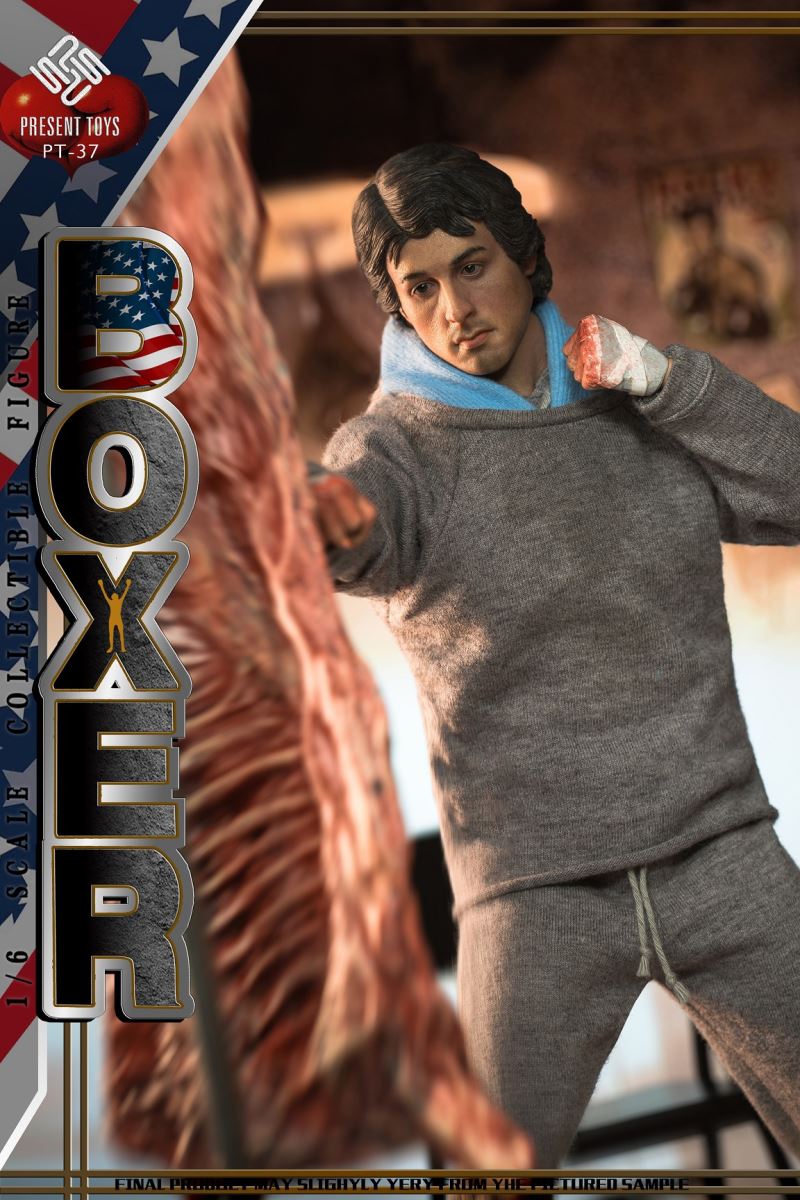 Boxer 1/6