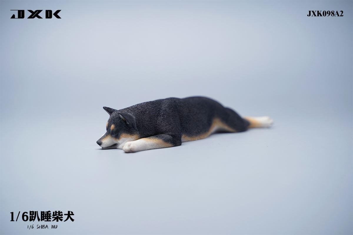 Shiba Inu 1/6