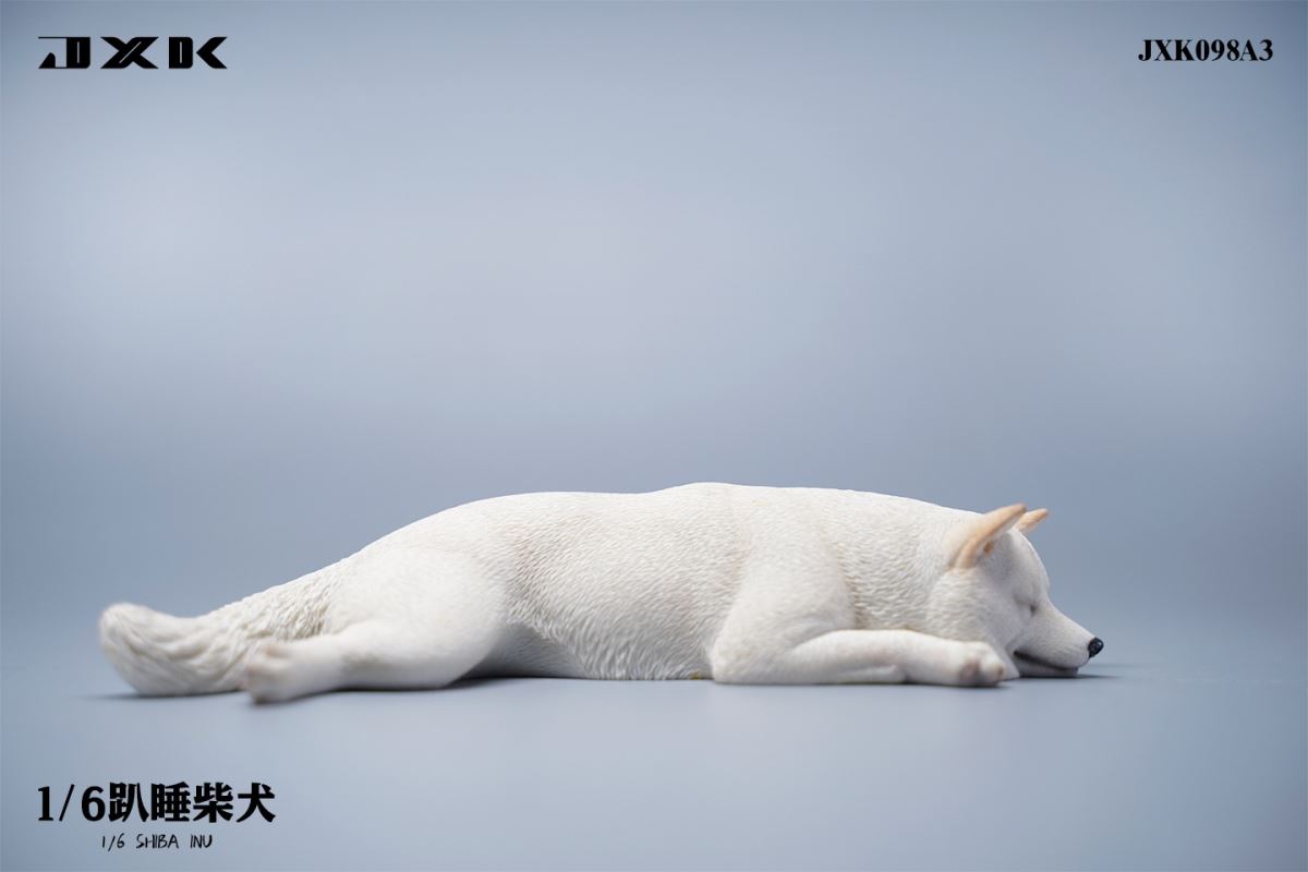 Shiba Inu 1/6