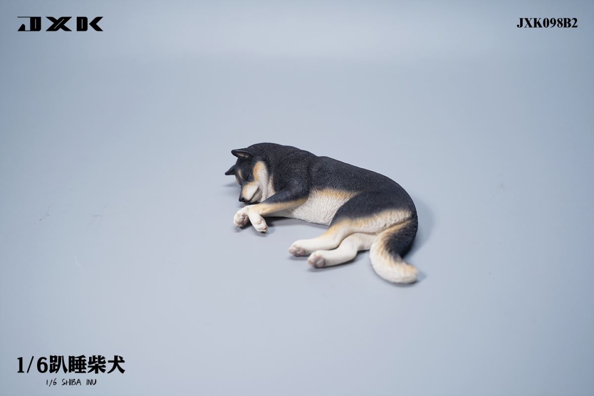 Shiba Inu 1/6